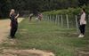 Barossa Hens Party Activities Based Solely Around Getting The Right Shot In The Vineyards
