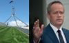 Exhilarating Growth Of Parliament House Lawn Distracts Journalists From Shorten Press Conference