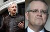 Nightwatchman Refuses To Grant Assange Refuge After WikiLeaks Blows Whistle On Engadine Maccas