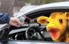 Healthy Harold Quietly Whips Out The Mouth Wash After Getting Pulled Over