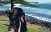 “Good To Do Something Different” Says Gold Coast Hipster Drinking Craft Beer On Burleigh Hill