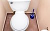 Magic Toilet Brush Seemingly Invisible To Everyone In Local Sharehouse