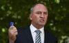 Distraught Barnaby Joyce Reveals He Has No Option But To Sell His Prized Blue Mufasa Ooshie