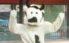 Sunrise Cash Cow Breaks Network Ranks And Calls For Newstart Increase