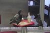 Rugby Australia’s Marketing Pigeons Treat Themselves To A Medium McChicken Meal After A Job Well Done