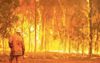 Militant Leftist Bushfires Continue Week-Long Protest Against Lack Of Action On Climate Change