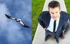 Magpie About To Get A Beak Full Of Briefcase Swooped The Wrong Leasing Agent