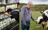 Dairy Farmer Relieved Woolies Aren’t Wasting Profit On Trivial Shit Like Someone’s Livelihood