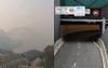 Sydney Residents Encouraged To Take Refuge From Smoke Pollution In Cross City Tunnel