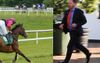 Bloke Who Got A Certainty From A Friend Of A Friend Nowhere To Be Seen After Race