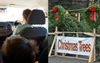 Traditional Dad Drives 60km Out Of Town For A REAL Christmas Tree Like The Ones In America