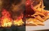 Doritos Sales Fall By 42.0% Following Destruction Of Nimbin Hinterland By 2019 Bushfires