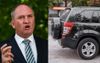 Bird Droppings On Clean Car Linked To Greens