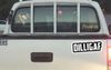 Ute With DILLIGAF Sticker On The Back Slows Down For Speed Cameras Despite Stating Otherwise