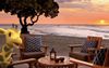 Healthy Harold Caught Holidaying In Hawaii During Coronavirus Outbreak Crisis