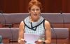 Senator Whose Own Sons’ Custody Battles Triggered National Inquiry Criticises Black Families