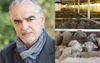Man Who’s Never Been North Of Byron Knows Everything There Is To Know About Live Export Trade
