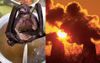 World Wondering If It’s Up To The Climate Crisis After Being Crippled By Man Eating A Bat