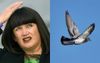 Raelene Castle Tearfully Sets The Rugby Australia Marketing Pigeon Free