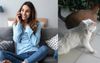 Office Gossip Stuck At Home Makes Up Rumour Cat Is Rooting The Dog