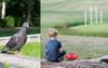 Marketing Pigeon Returns Home To Find The Grassroots Kicking A Sherrin Around