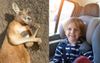 Roadside Kangaroos Are ‘Sleeping’ Confirms Dad