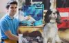 Apprentice Commits Social Faux Pas By Rocking Up With A Dog That Isn’t From The Bull Terrier Family