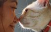 Aww! Cat Did The Nose Boop Thing!