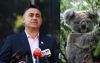 Barilaro: “Gladys Is Out Of Touch With Average Voters Who Just Want To Blow Koalas Heads Off”