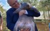 “See, Not All Of Them Perished In The Record-Breaking Climate Change-Aided Summer Bushfires”