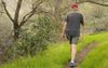 Dad Keeps Ten Steps Ahead On Bush Walk Like A General Leading Soldiers Into Battle
