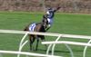 Former Jockey Of Black Caviar Unfortunately Put Down After Tragic Fall In Race One