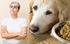 Owner Of Puppy-Farmed Labrador Living In One Bedroom Inner-City Apartment Says Nup To The Cup