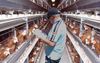 Scotty Distracts News Cycle With Photos Of Him At Home Building A 100,000 Hen Battery Farm