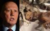 Removalists Ask Dutton Where He’d Like His Collection Of Dried Cats To Go In His New Office