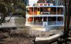 Just When You Think It Can’t Get Any Worse For Brissy, The Kookaburra Queen Pulls A Suez Canal In The Brown Snake