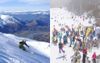 Thredbo Lower Accommodation Down To $4950 Per Night After Losing Customers To NZ Bubble