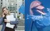 Generous Woman Lets Plastic Bag Blow Away To Feed The Local Dolphins