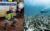 LNP Urged To Treat Dying Planet As Seriously As Dying Fossil Fuel Industries