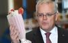 Scotty Grabs The Biggest Milkshake He Can Find In Preparation For New Get-Your-Jab Ad Campaign