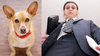 One Night Stand’s Judgy Dog Stares At Fleeing Womaniser With A Vacant Look Of Disgust