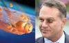 Cricket Australia Reveal Michael Slater’s Black Eye Was Caused By Falling Chinese Space Junk