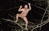Anti-Mask Barnaby Found Naked And Lost In Forest After Being Spooked By Deer While Sunbathing