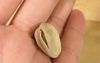 Pistachio Really Making You Work For It