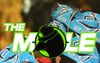 Report: NRL Mole Definitely Should Have Said Something About The Peptides
