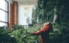Sharehouse Develops Own Weather System After Fitzroy Woman Overdoes It With The Indoor Plants