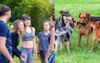Woman Who Owns Rescue Dog Manages To Go Through Entire Trip To Park Without Telling Someone