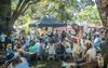 Byron Markets Face Critical Shortage Of Ginseng And Ginger Extracts After Recent Outbreak