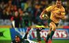Springboks To Get Fucken Stepped On Sunday