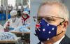 Scotty Stocks Up On His Australian Flag Masks In Case China Stops Making Them